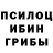 Галлюциногенные грибы Magic Shrooms Tony Helton