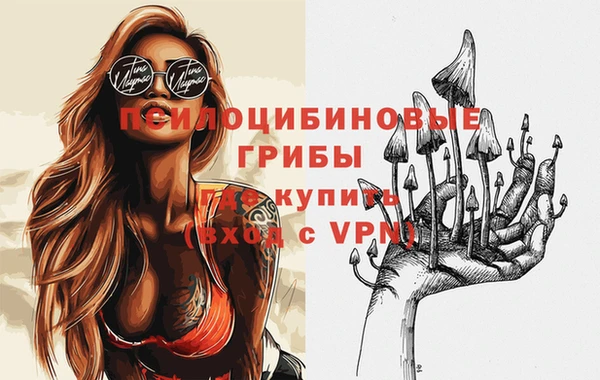 твердый Балахна