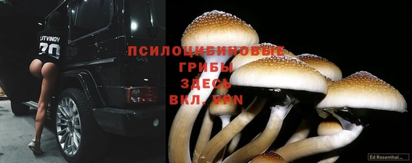 твердый Балахна
