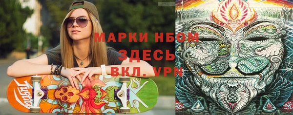 сатива Магадан