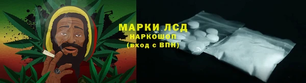 ECSTASY Майский