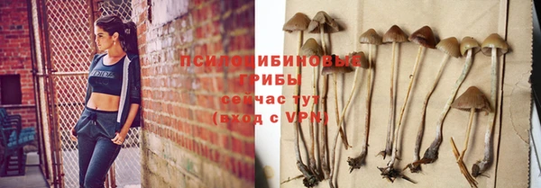 твердый Балахна