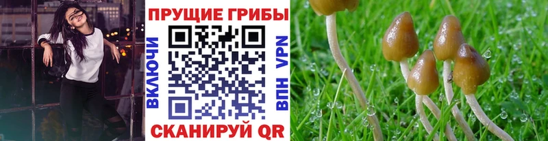Псилоцибиновые грибы ЛСД  Белоусово 